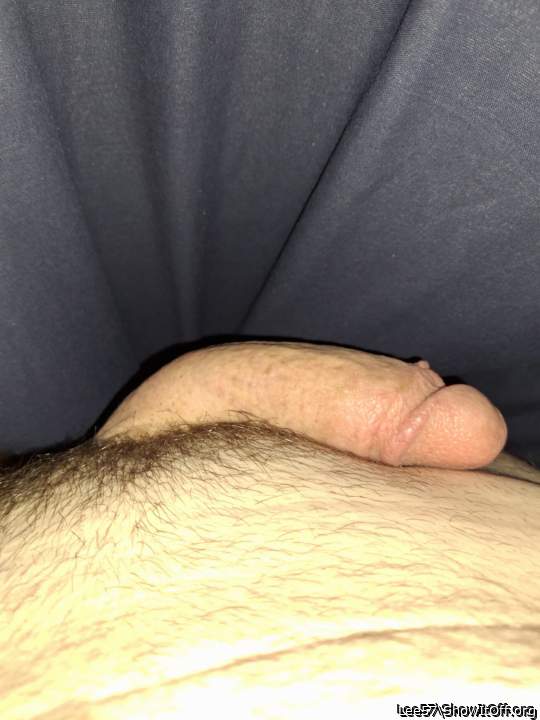 Photo of a wiener from Lee57