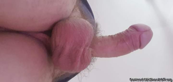 Photo of a cavalier from Bentcock82