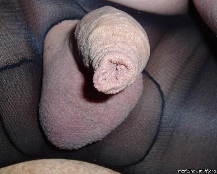 uncut foreskin dick (prepuce)
