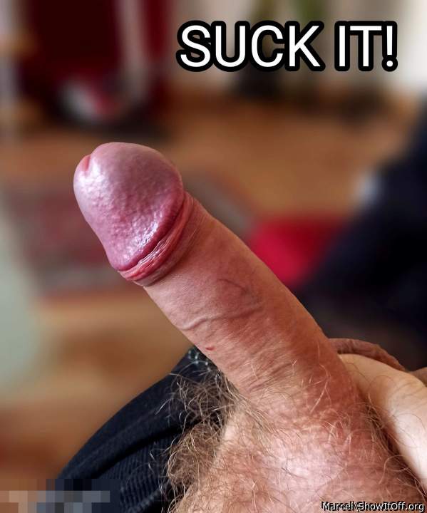 Marcel's horny cock