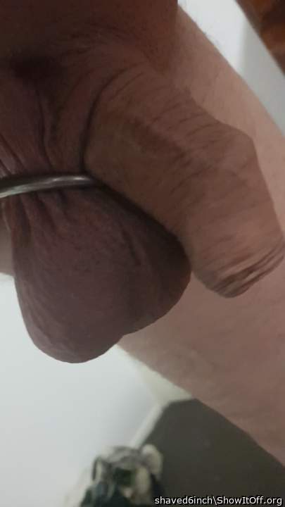 Photo of a dong from shaved6inch