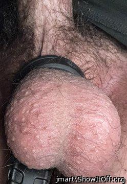 Testicles Photo from jmart