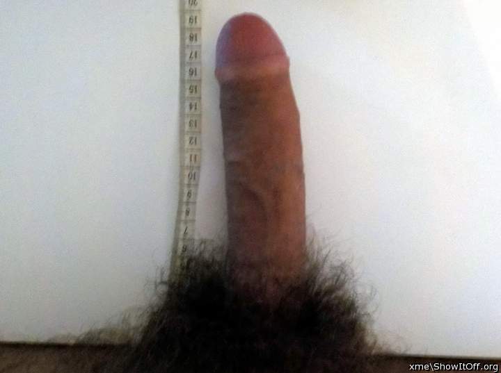 my 19 cm / 7.5 inches long cock