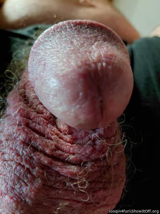 perfect view, cute cock !