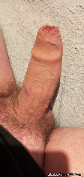 Photo of a weasel from akai22