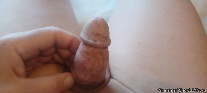 Photo of a dong from Ginnemer