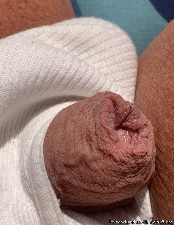 Photo of a equipment from lovecockandass