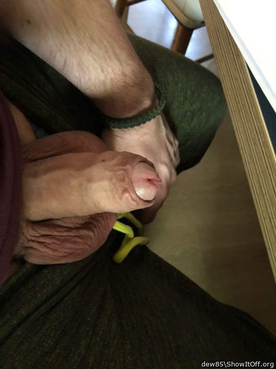 Photo of a python from dew85