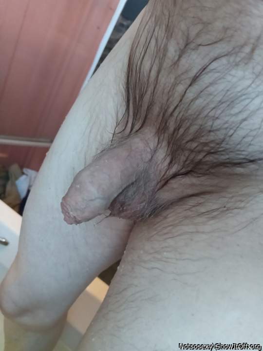 Photo of a python from Notsosexy