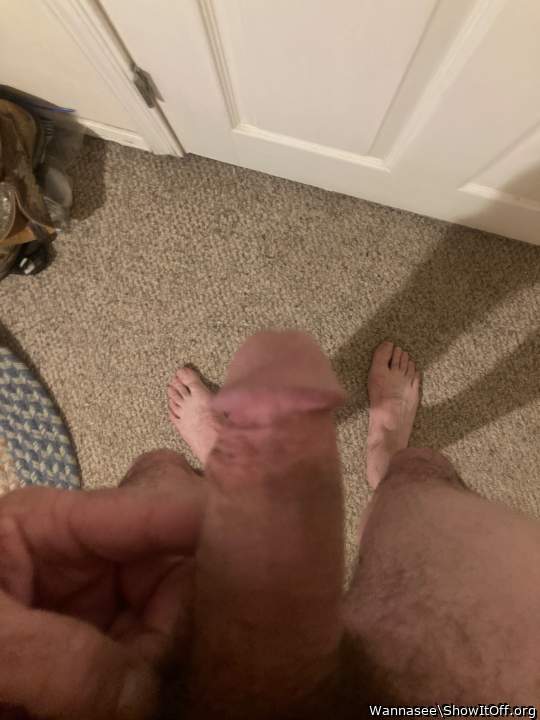 Photo of a python from Wannasee