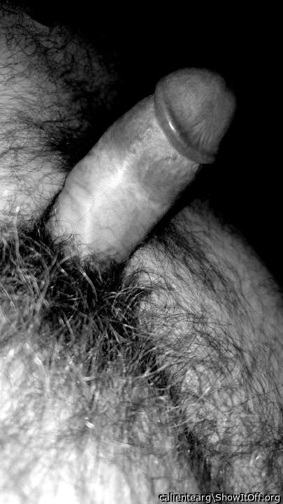Photo of a penile from calientearg