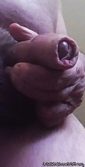 Photo of a bald-headed mouse from Ade59