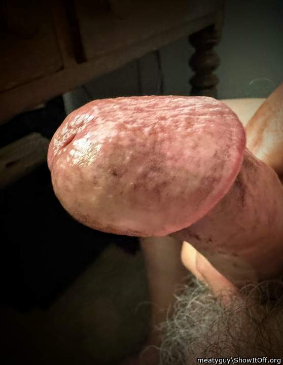 Photo of a cavalier from meatyguy
