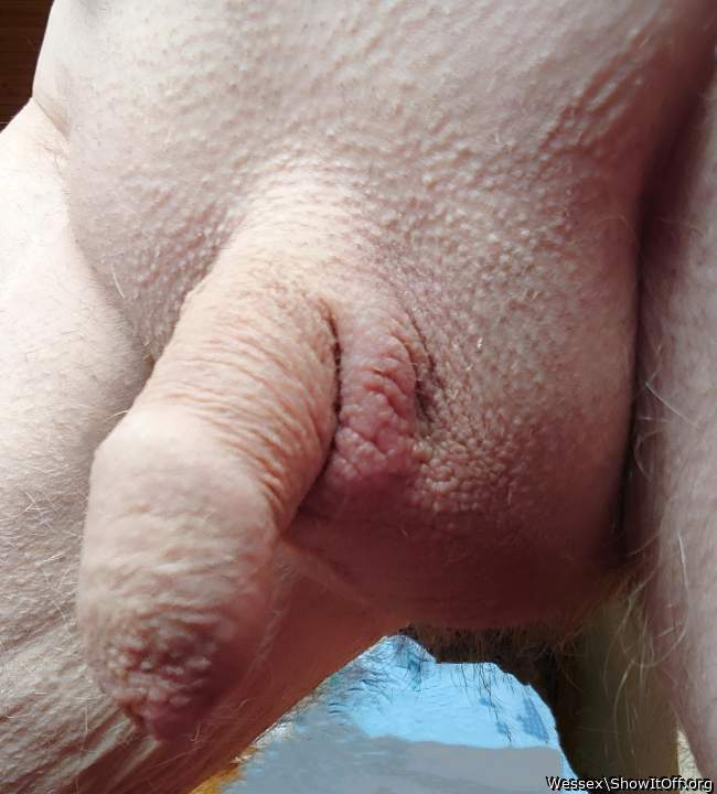 perfect smooth dick  