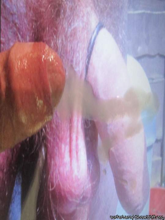 Photo of a pecker from surferharry