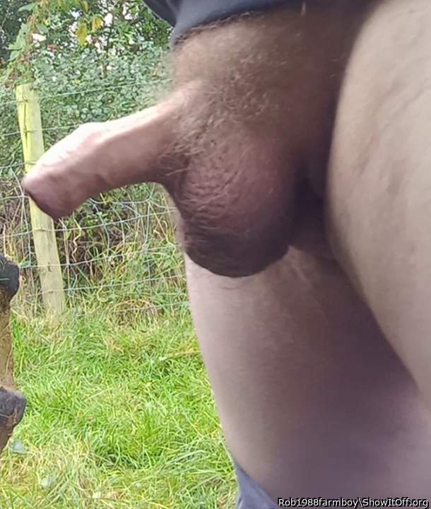 Hi, pig Ernie here, I love sucking cocks outdoors, nice cock