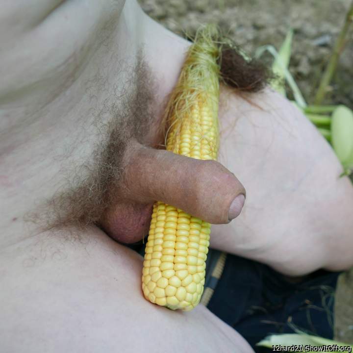 Photo of a stiffie from 12hard21