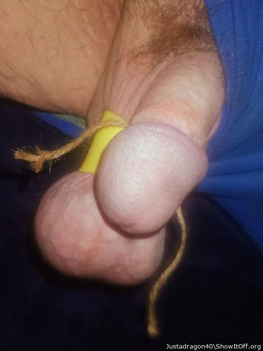 Photo of a dong from Justadragon40