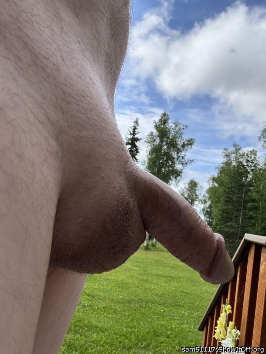Photo of a horn from sam51117