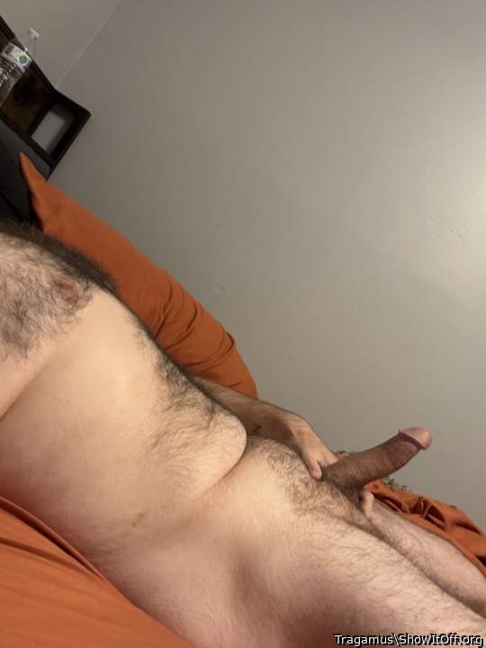 Photo of a lizard from Tragamus