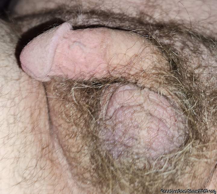 My Hairy Boys... Hope you like what you see here