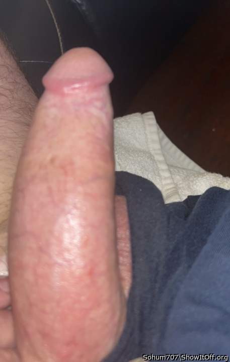 Photo of a middle leg from Sohum707