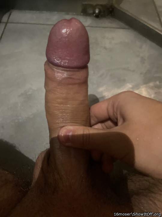 Photo of a rooster from 16moser