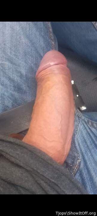 Photo of a middle leg from Tjops