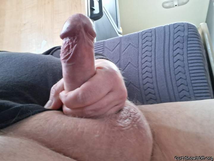 Photo of a dong from Curt