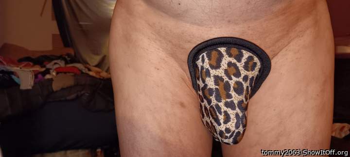 Photo of a bald-headed mouse from tommy2063