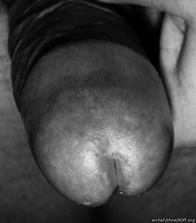 Photo of a wiener from eichel