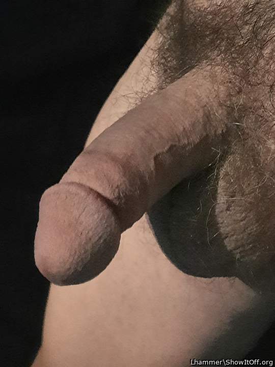 What a nice looking cock and some good looking nuts would lo