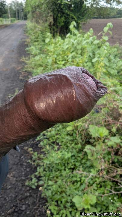 Photo of a hot dog from Biker
