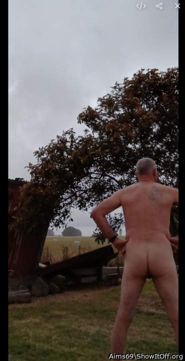 Photo of a private part from Aims69