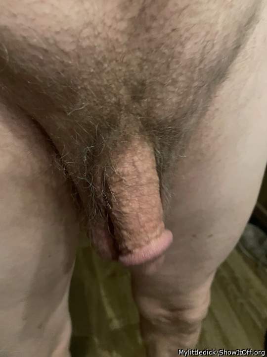 Photo of a horn from Mylittledick