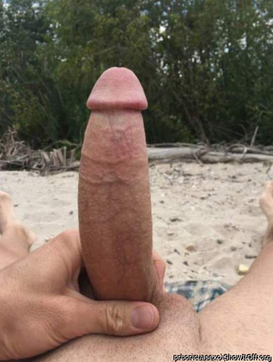 Photo of a cock from prboricuasexo