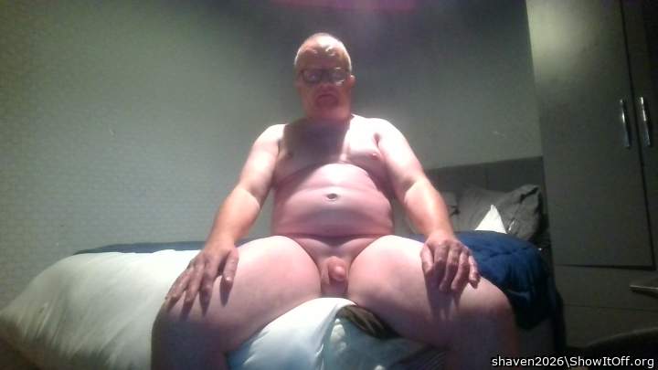 Photo of a cavalier from shaven2026