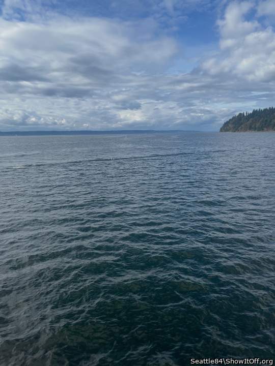 Photo of a penis from Seattle84