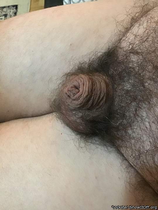   nice pubes and uncut cock