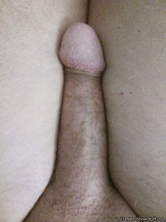 Photo of a rooster from OldTex83