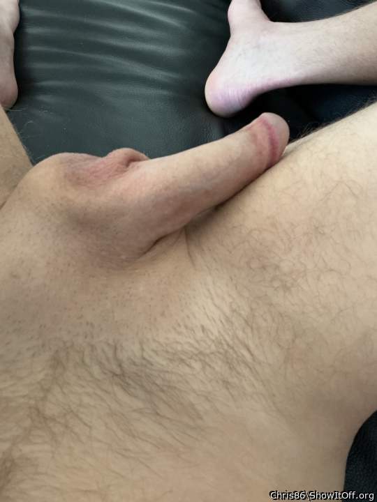 Photo of a python from Chris86