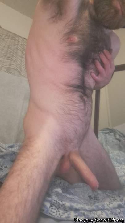 Photo of a cavalier from Kinkyguy
