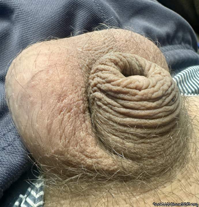 Photo of a bald-headed mouse from Cock112