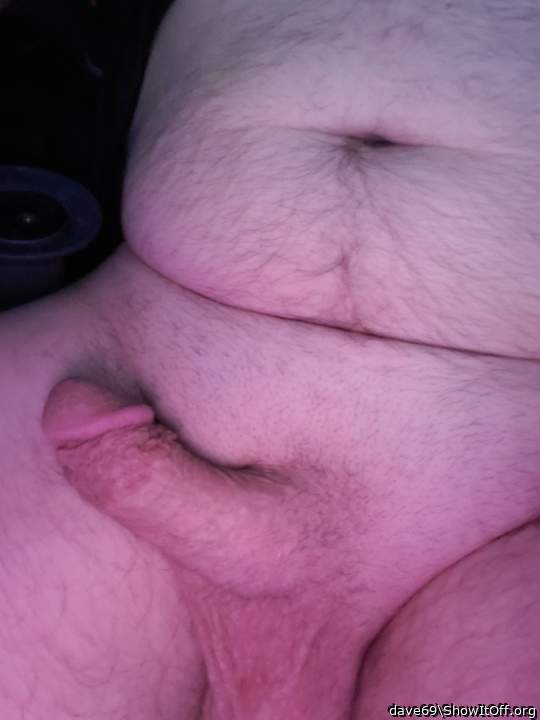 Photo of a lizard from dave69