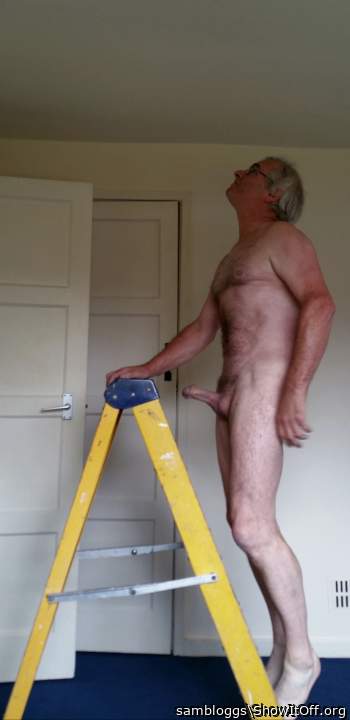 Photo of a bald-headed mouse from sambloggs