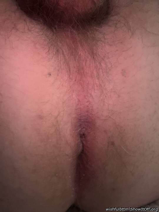 Photo of a rooster from wishfulbttm