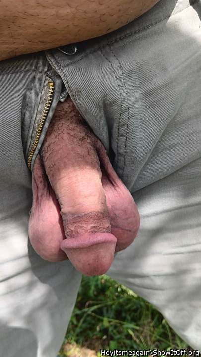 Photo of a dick from Heyitsmeagain