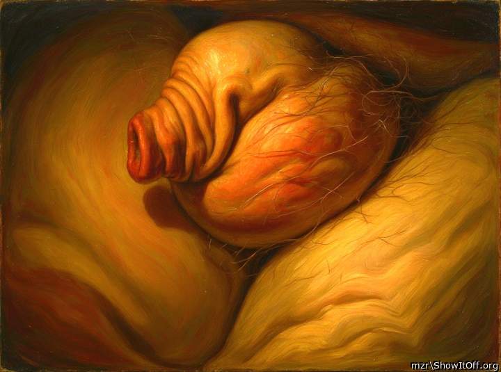 Soft Uncut Cock with lots of Foreskin Closeup Art