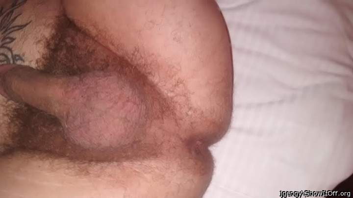 lick my hairy balls and ass