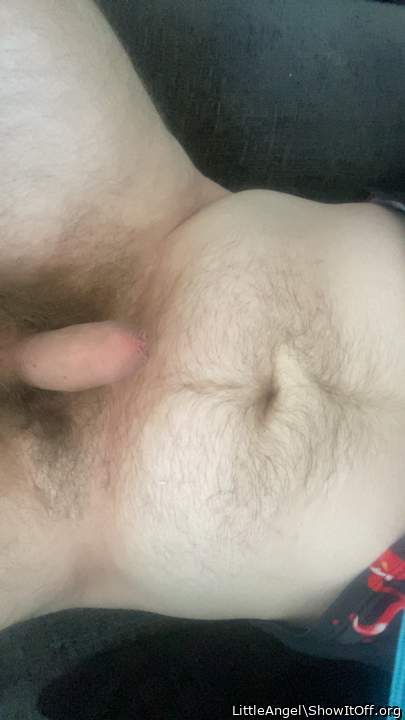 Photo of a middle leg from LittleAngel